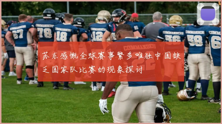 苏东感慨全球赛事繁多唯独中国缺乏国家队比赛的现象探讨